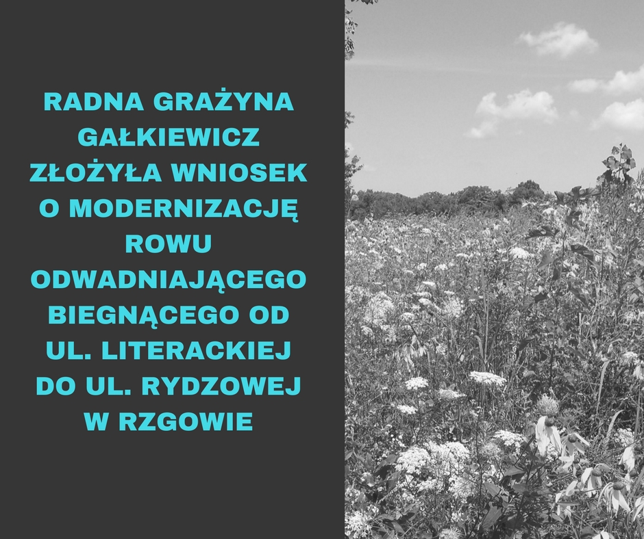 Wniosek o modernizację rowu odwadniającego biegnącego od ul. Literackiej do ul. Rydzowej w Rzgowie