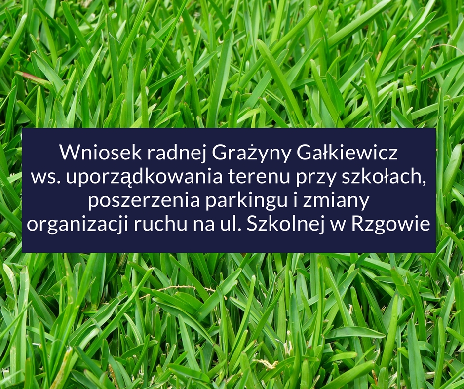 Wniosek ws. uporządkowania terenu przy szkołach, poszerzenia parkingu i zmiany organizacji ruchu na ul. Szkolnej