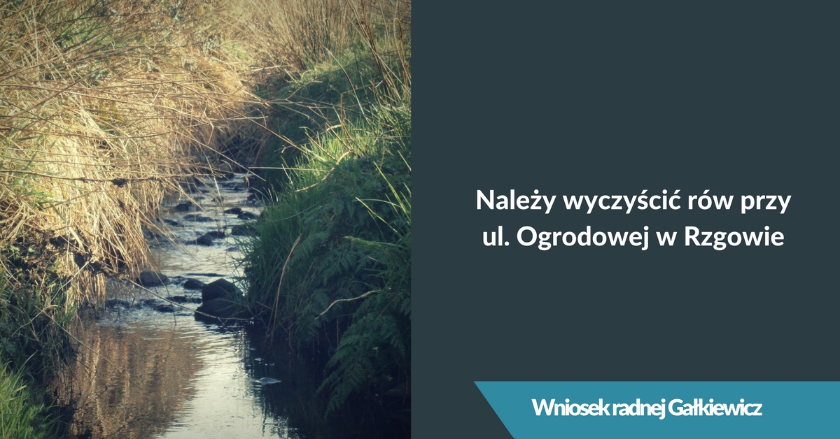 Wniosek o wyczyszczenie rowu przy ul. Ogrodowej